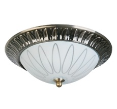 Потолочный светильник Toplight TL5050Y-02AB