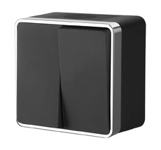 выключатель двухклавишный влагозащищенный Werkel a050976_WR