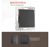 Выключатель одноклавишный 10AX 250V Arte Milano 206.30-1.black