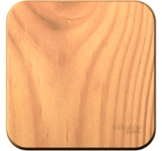 Выключатель накладной с самовозвратом одноклавишный (ясень) Systeme Electric BLNCA101015