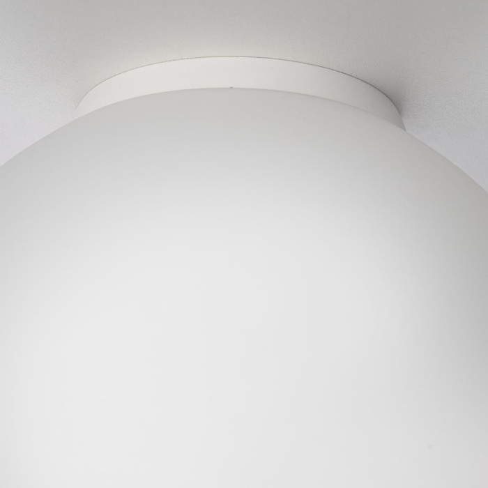 Настенно-потолочный светильник Citilux Ron CL941D20B0