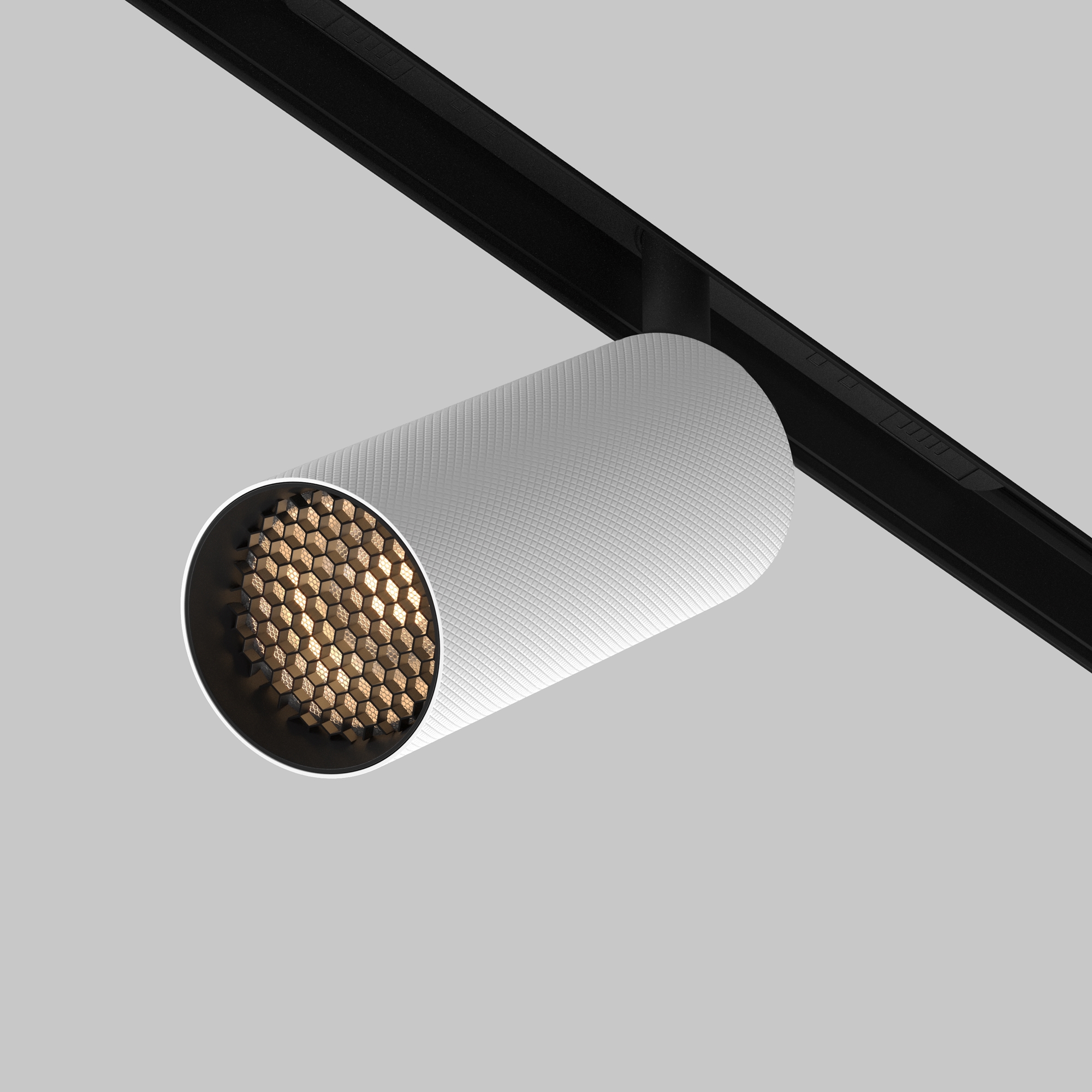 Трековый светильник Maytoni Artisan TR097-2-12W3K-M-BW_MY