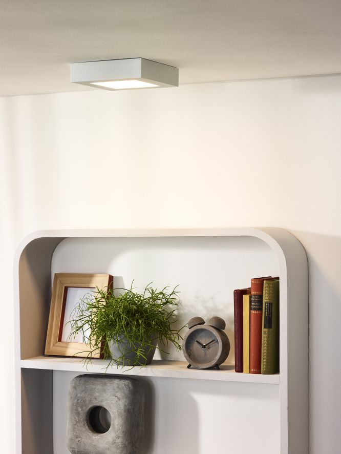 Настенно-потолочный светильник Lucide BRICE-LED 28107/17/31