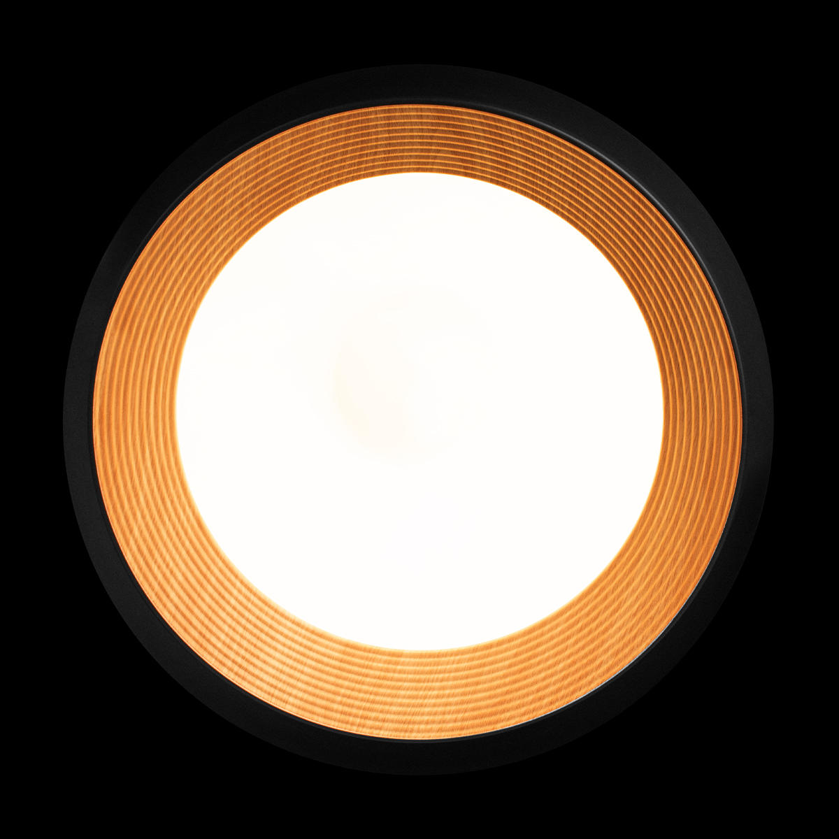 Потолочный светильник LOFT IT Folk 10255/500 Black_LF