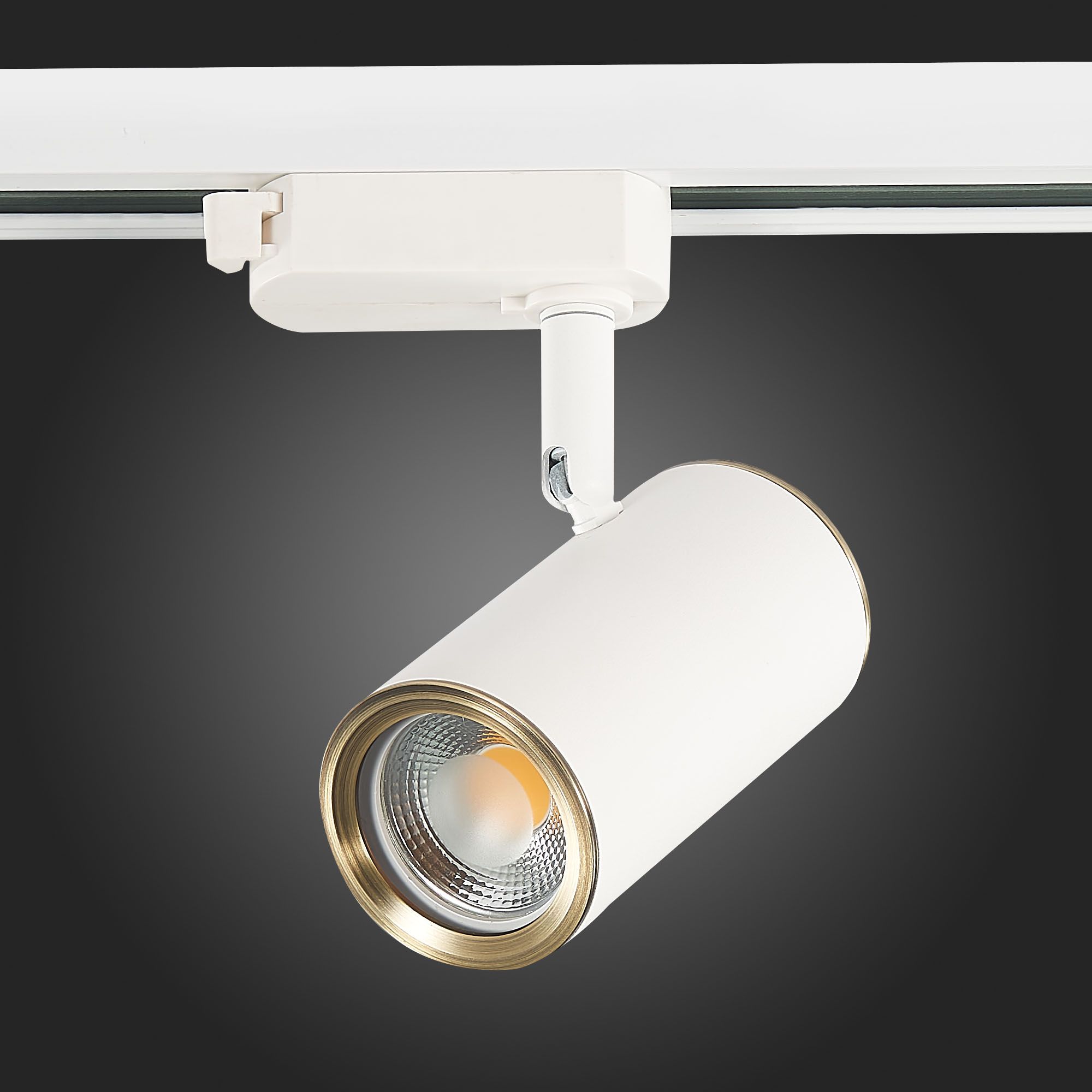 Трековый светильник ST Luce однофазный CROMI ST301.536.01