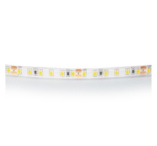 Светодиодная лента белого свечения LED 24V Lightstar 420854_LS