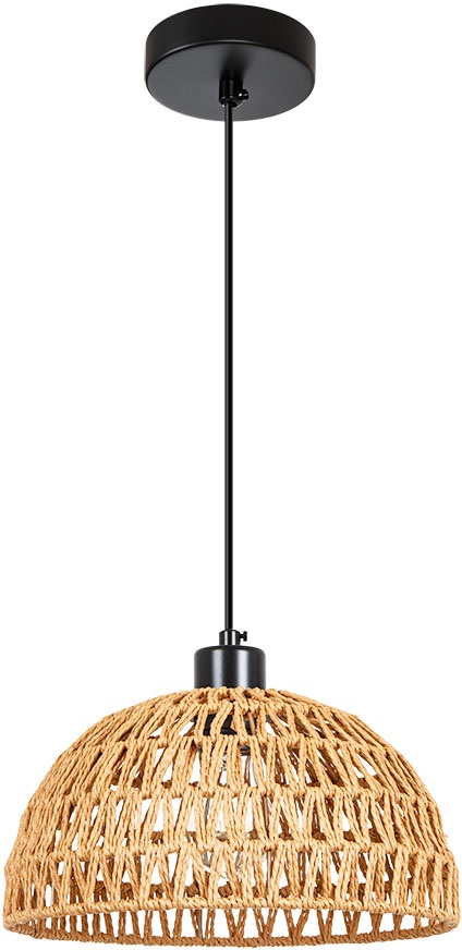 Подвесной светильник Arte Lamp Brushwood A7086SP-1BK