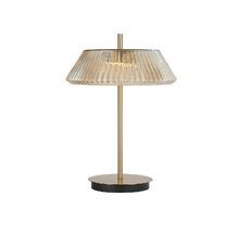 Настольная лампа KinkLight Ивина 07721-T,20(03)_KL