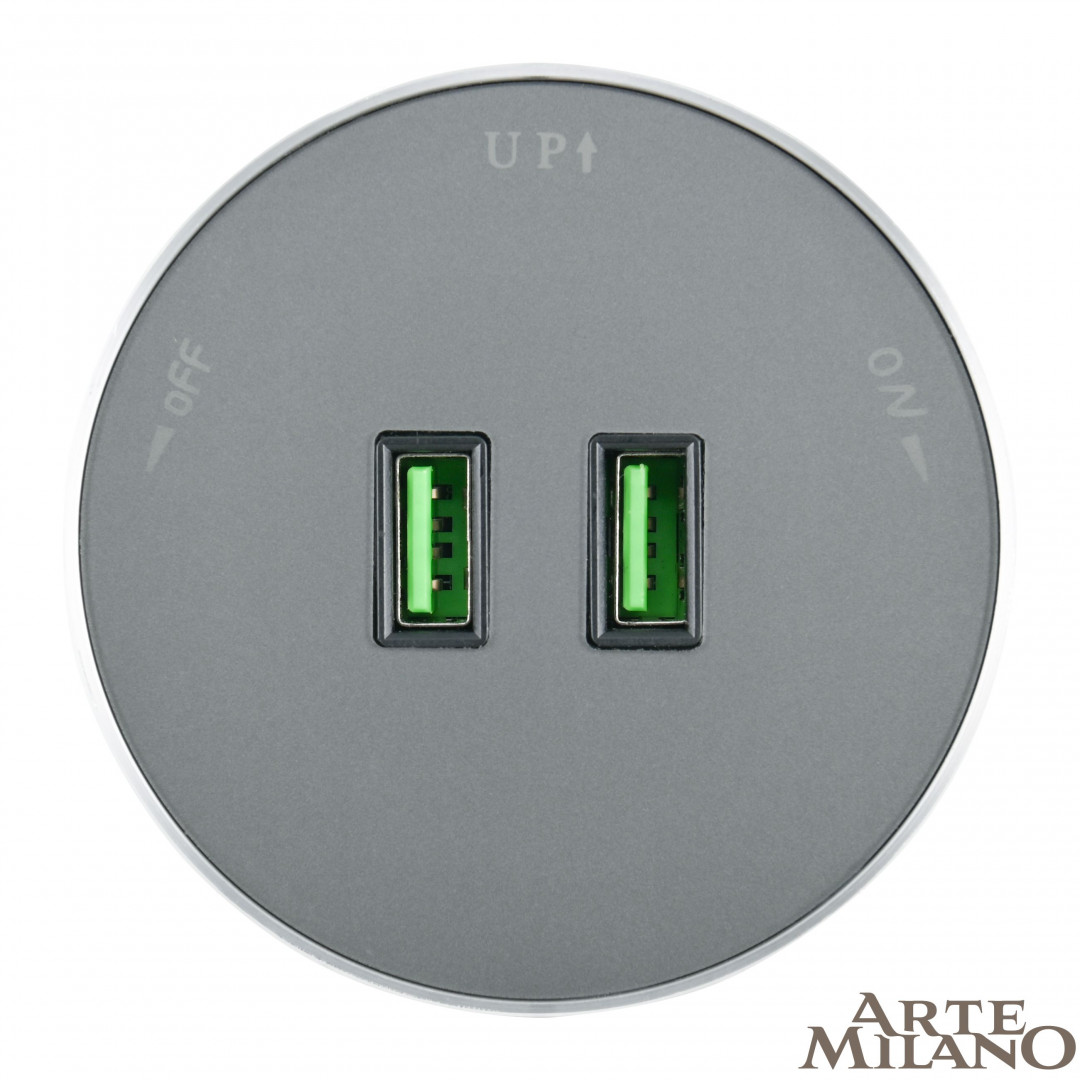 Трековая розетка Arte Milano track-sockets 380011TS/USBx2 Grey