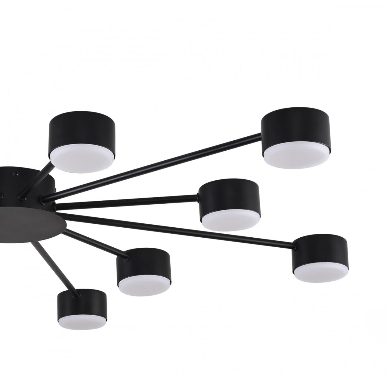 Потолочная люстра LUMION TORINA 8344/12C