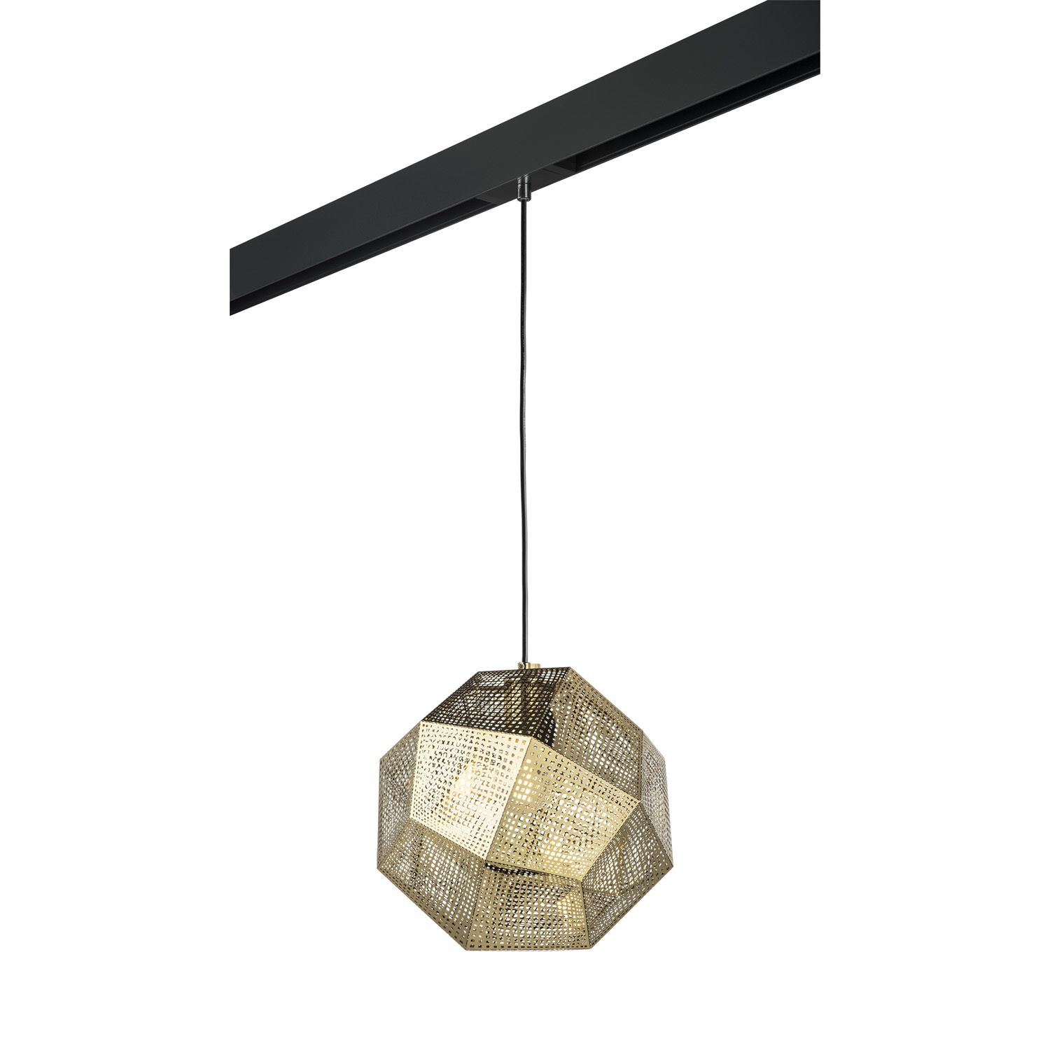 Трековый светильник подвесной Lightstar Fermo PRO724112_LS