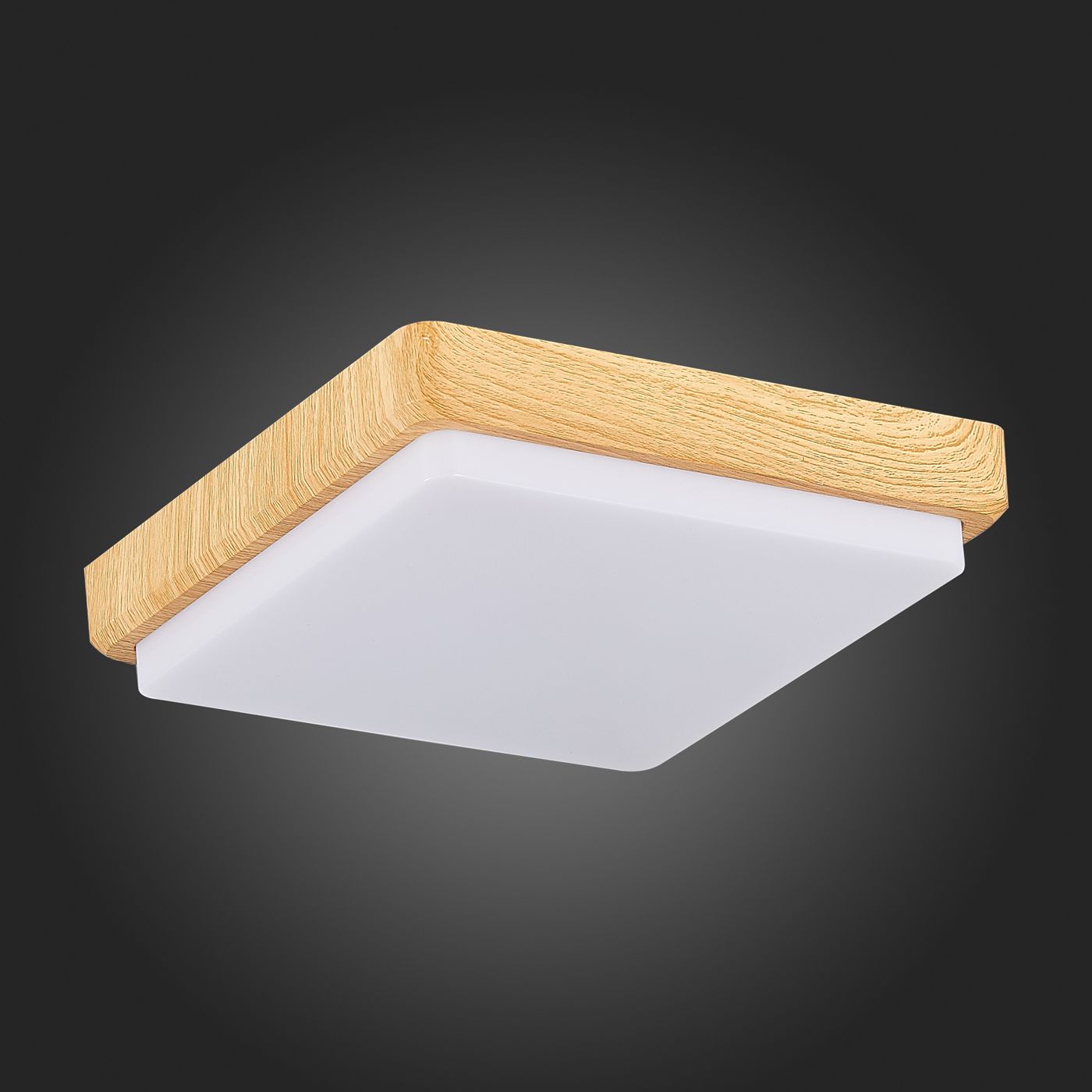 Потолочный светильник Evoluce TADDIO SLE200202-01