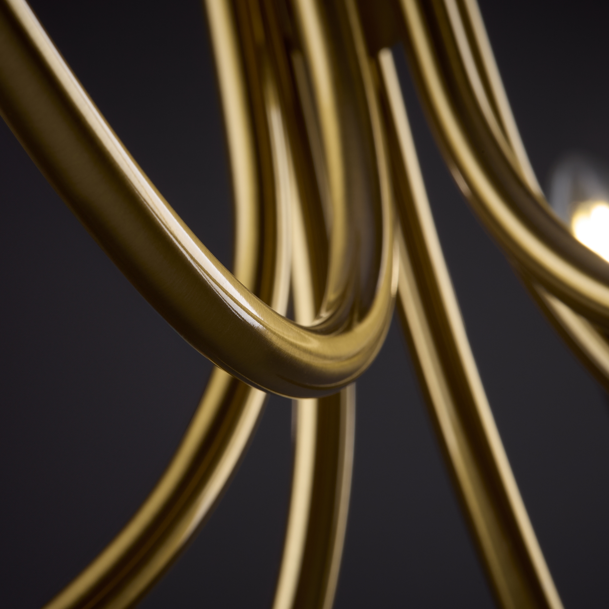 Подвесная люстра Freya Branches FR5253PL-06BS_MY