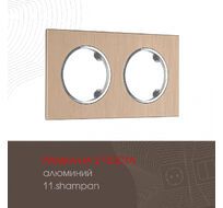 Рамка из алюминия на 2 поста Arte Milano 502.11-2.shampan