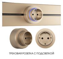 Трековая розетка Arte Milano track-sockets 397951TS/ES Gold