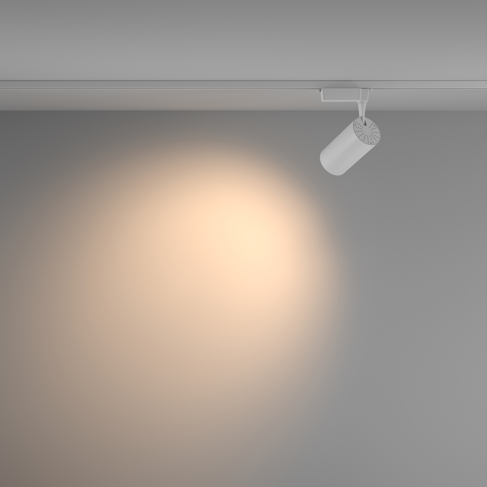 Трековый светильник Maytoni Technical Vuoro TR003-1-36W3K-W-W_MY