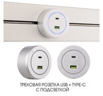 Трековая розетка Arte Milano track-sockets 399731TS/USB-Type-C Silver