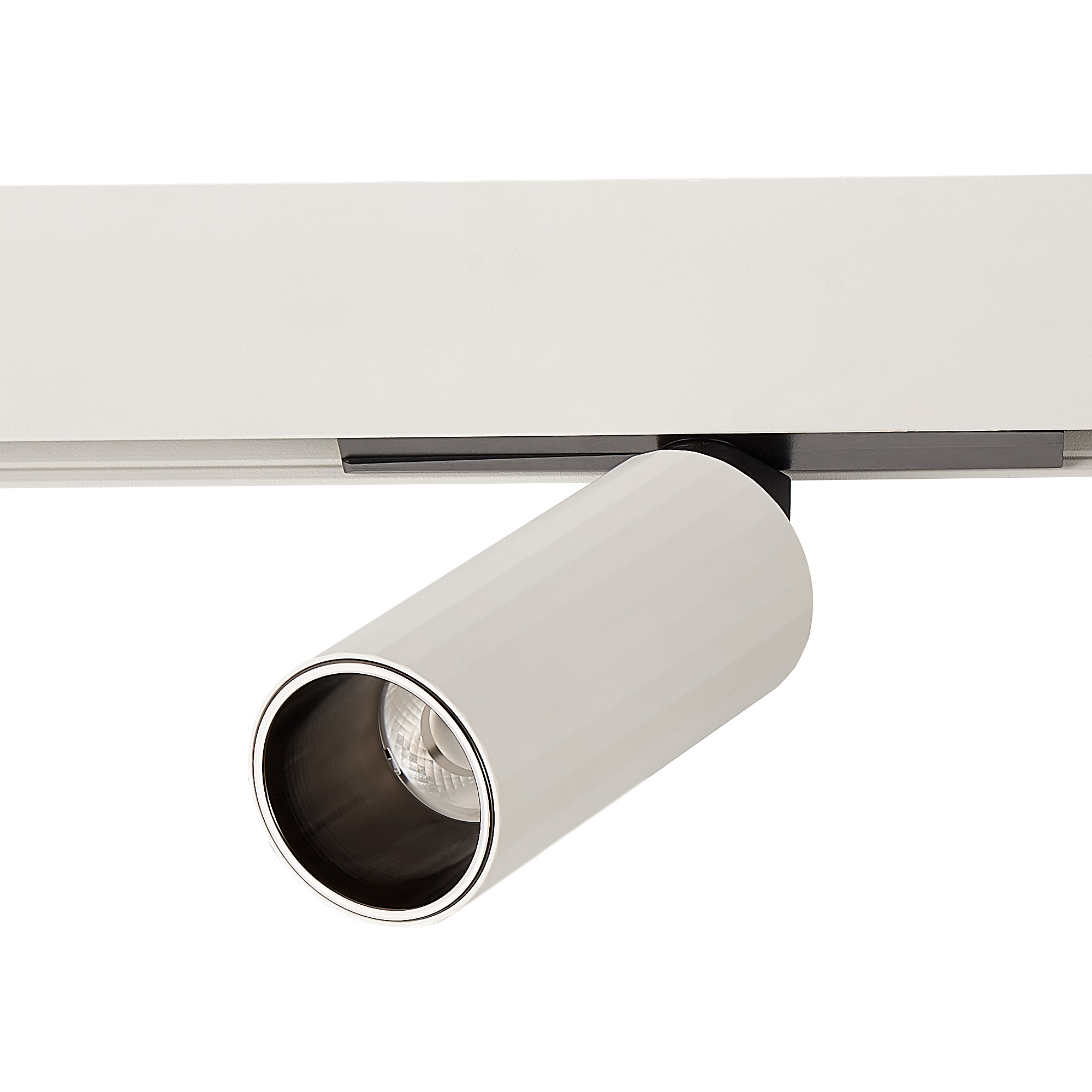 Магнитный трековый светильник ST LUCE SKYLINE 48 ST807.536.12