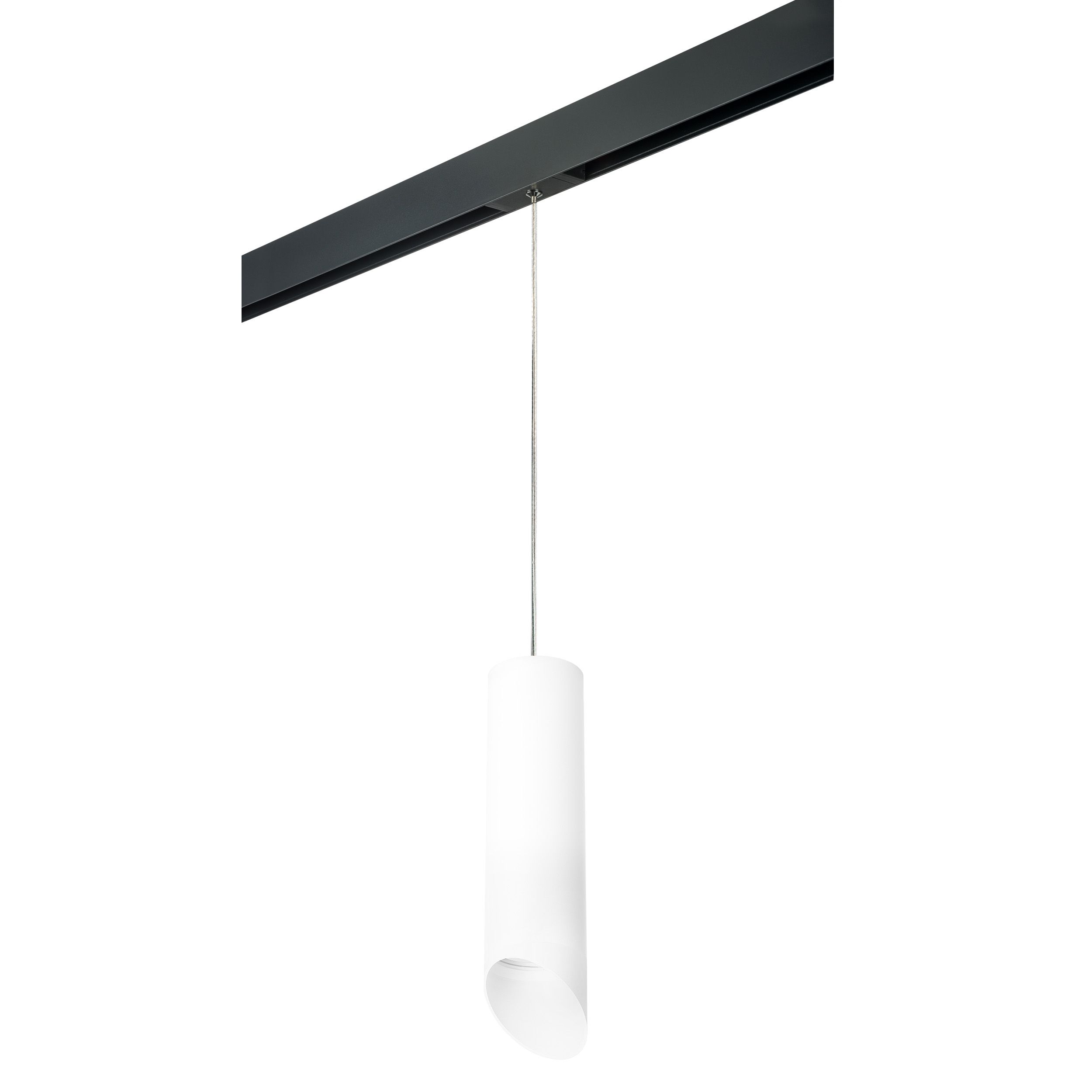 Трековый светильник Lightstar Rullo PRORP649686_LS