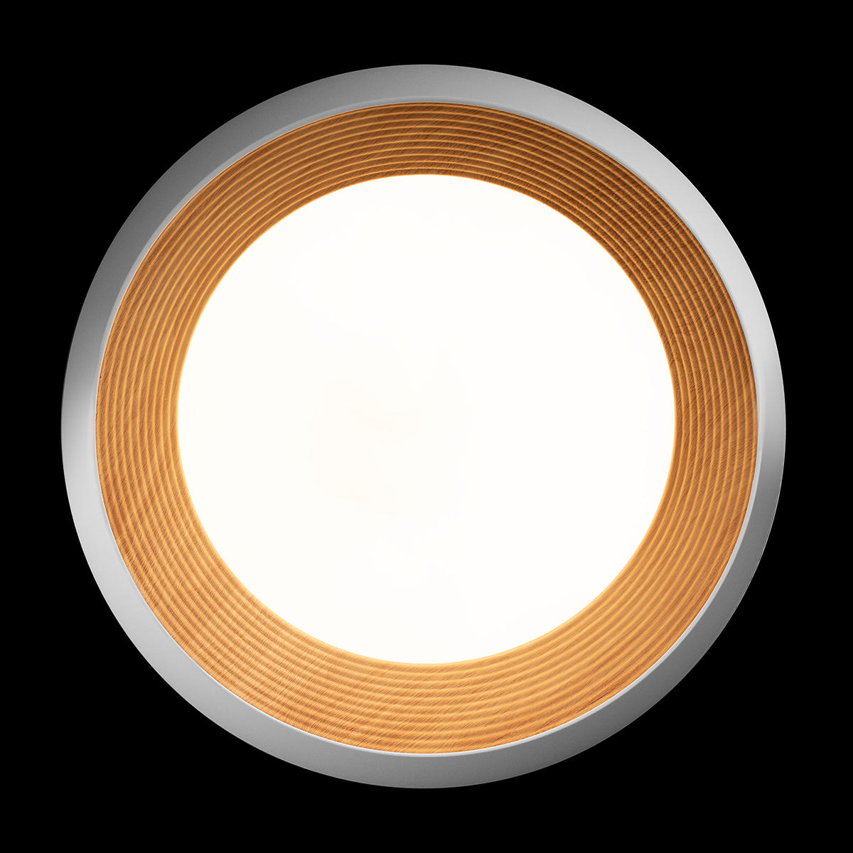 Потолочный светильник LOFT IT Folk 10255/500 White_LF