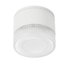 Уличный потолочный светильник Arte Lamp PIAUTOS A1926PF-1WH