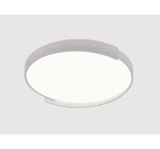 Потолочный светильник Arte Lamp A3087PL-120WH
