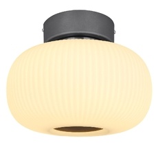 Потолочный светильник Globo Boomer 15437D_GL