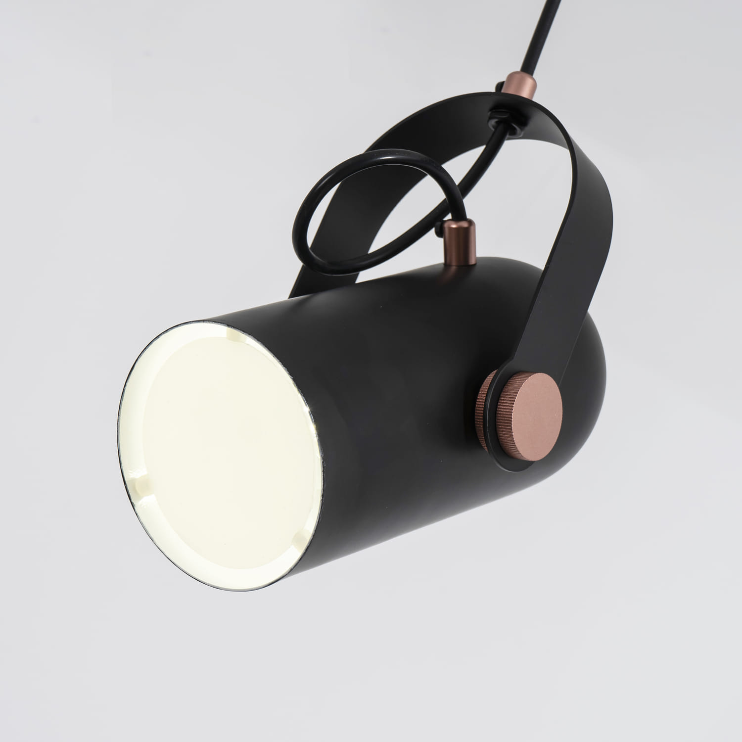 Подвесной светильник Favourite Ampolla 2007-1P