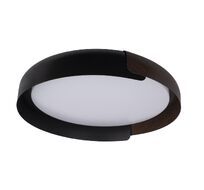 Потолочный светильник Loft IT Coin 10198 Black_LF