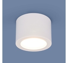 Накладной светильник Elektrostandard a040440_ES