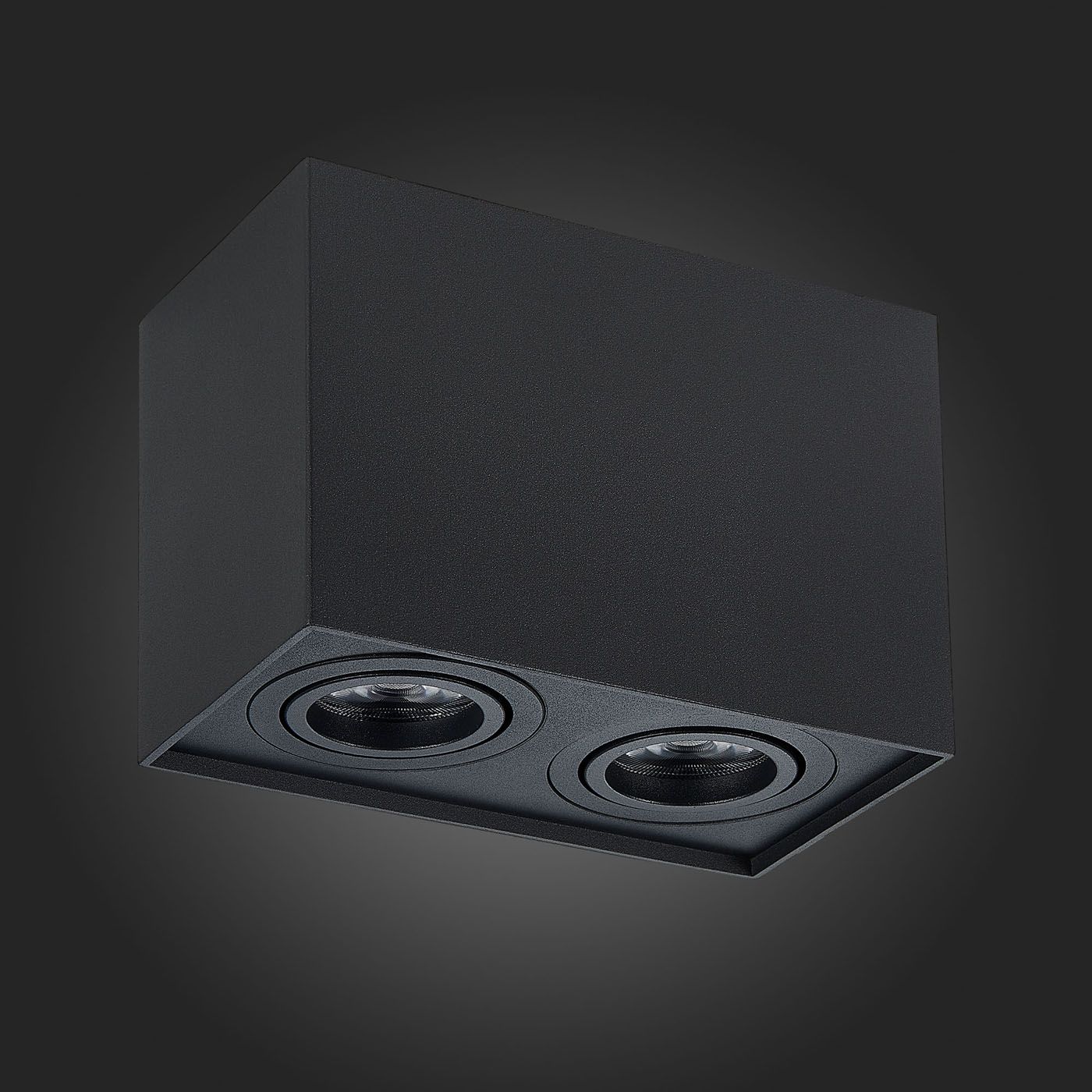 Накладной светильник ST Luce FUNCZIONALE ST109.407.02