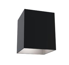 Накладной светильник Maytoni Alfa C015CL-01B_MY