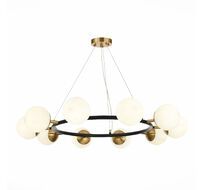 Подвесная люстра Evoluce FORLI SLE220403-10