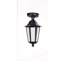 Потолочный светильник уличный IP44 Oasis Light 79805SA Bl_OL