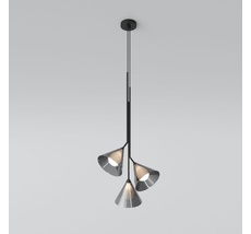 Подвесная люстра Eurosvet Enigma a069050_EU