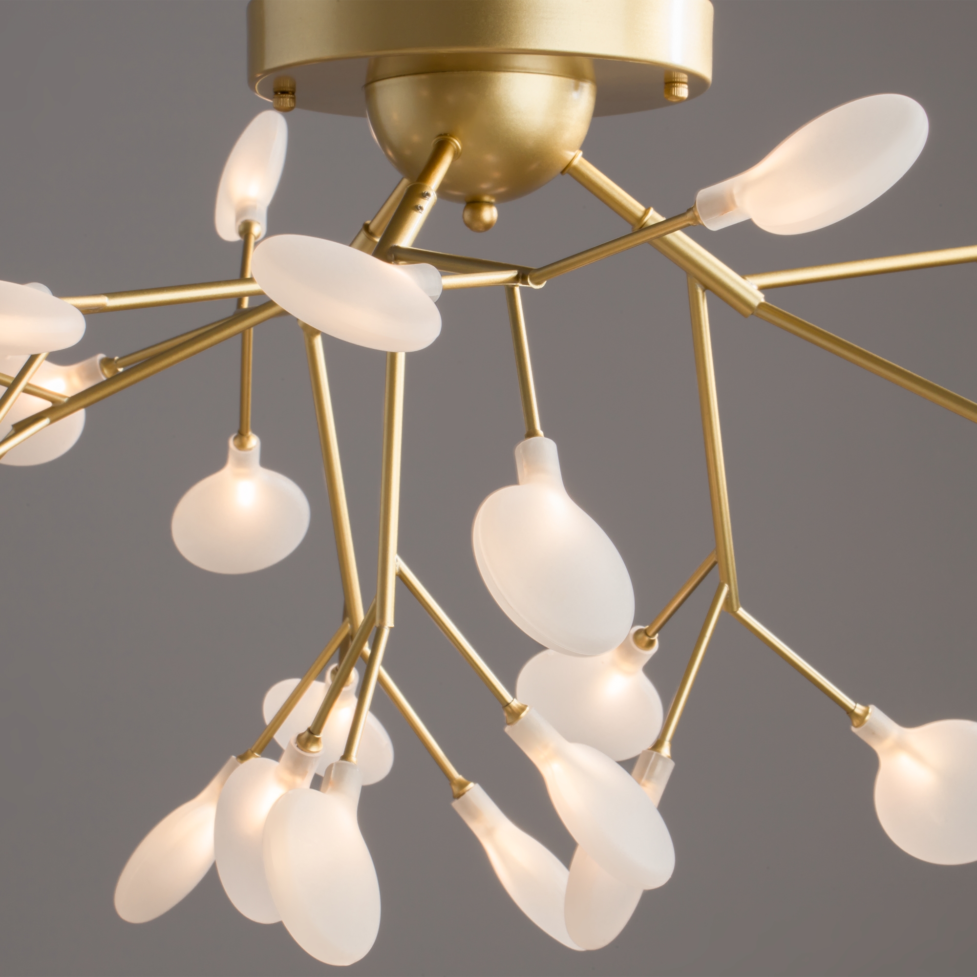 Потолочная люстры Freya Florencia FR5049CL-27G_MY