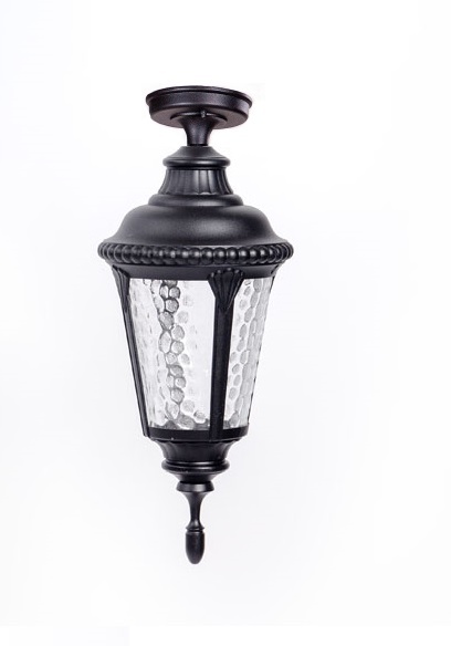 Потолочный светильник уличный IP44 Oasis Light 79755SA Bl_OL