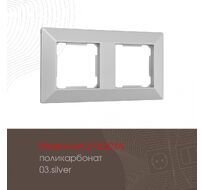 Рамка из поликарбоната на 2 поста Arte Milano 503.03-2.silver