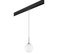 Трековый светильник подвесной Lightstar Globo PRO813023_LS
