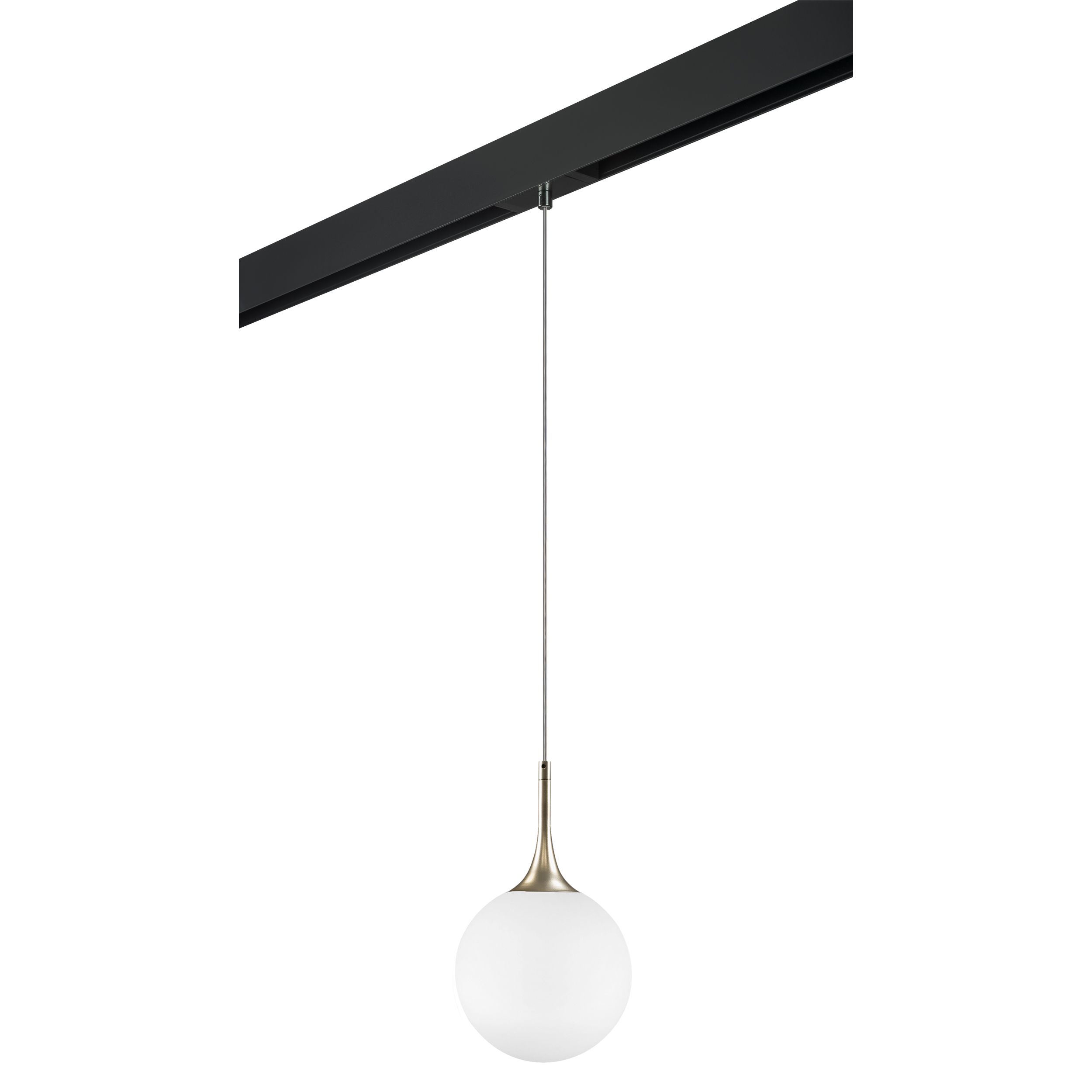 

Трековый светильник подвесной Lightstar Globo PRO813023, PRO813023