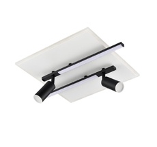 Потолочный светильник светодиодный с холодным белым светом со спотом Lumion 8256/40CL