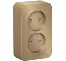 Розетка накладная двойная без заземления со шторками (титан) Systeme Electric BLNRA001214