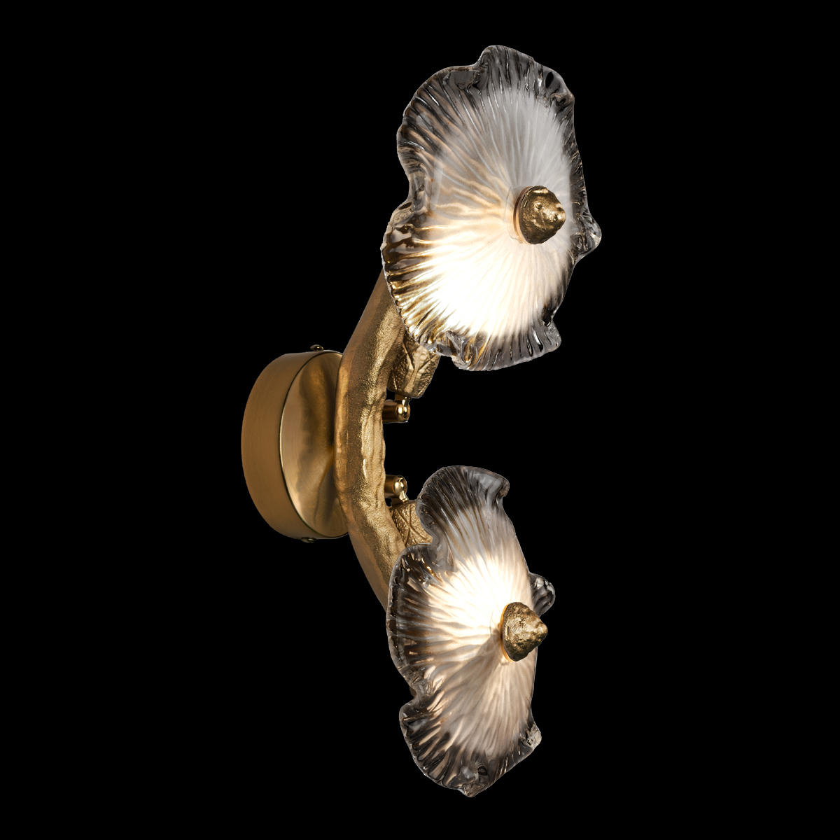 Настенный светильник LOFT IT Bloom 10352/2W AB_LF