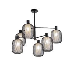 Потолочная люстра F-Promo Tokri 4602-6C