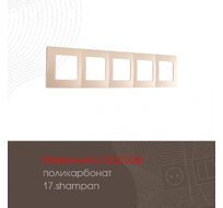 Рамка из поликарбоната на 5 постов Arte Milano 517.17-5.shampan