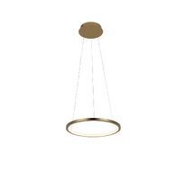 Подвесной светильник Loft IT Ring 10014S_LF