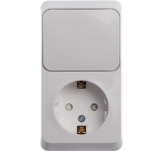 Розетка накладная с заземлением с одноклавишным выключателем (белый) Systeme Electric BPA16-201B