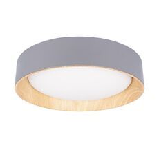 Потолочный светильник LOFT IT Coin 10202 Grey_LF