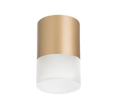 Накладной светильник LightStar Rullo R349081_LS