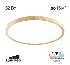 Потолочный светильник Citilux Бейсик CL738322V